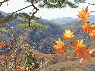爱游戏平台-马赛憾负对手，遭遇三连败局面不妙，马赛对标
